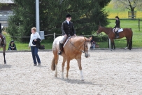 Fehraltorf_2016