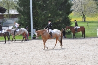 Fehraltorf_2016