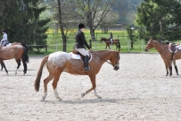 Fehraltorf_2016