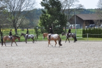 Fehraltorf_2016