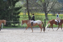 Fehraltorf_2016