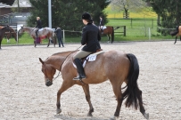 Fehraltorf_2016