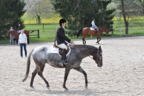 Fehraltorf_2016