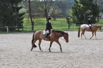 Fehraltorf_2016