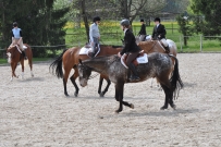 Fehraltorf_2016