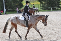 Fehraltorf_2016
