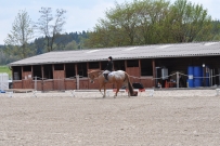 Fehraltorf_2016