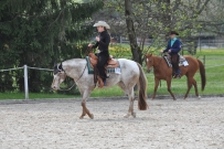 Fehraltorf_2016