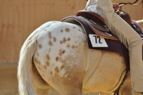 Futurity_2011