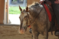 Futurity_2011