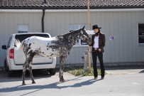 Futurity_2011