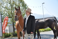 Futurity_2011
