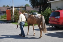 Futurity_2011