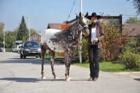 Futurity_2011