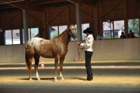 Futurity_2011