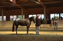 Futurity_2011