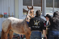 Futurity_2011