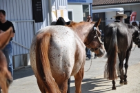 Futurity_2011