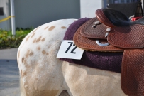 Futurity_2011