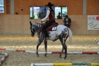 Futurity_2011
