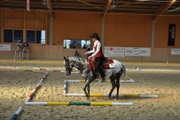 Futurity_2011