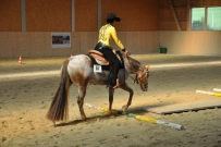 Futurity_2011
