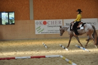 Futurity_2011