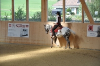 Futurity_2011