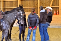 Galoppwechel_Kurs_1_2017