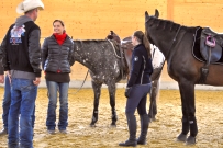 Galoppwechel_Kurs_1_2017