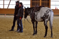 Galoppwechel_Kurs_1_2017