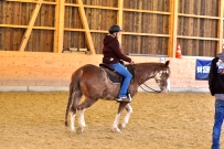 Galoppwechel_Kurs_1_2017