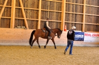 Galoppwechel_Kurs_1_2017