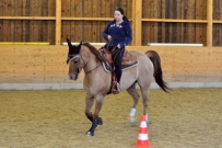Galoppwechel_Kurs_1_2017