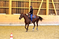 Galoppwechel_Kurs_1_2017
