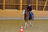 Galoppwechel_Kurs_1_2017