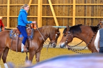 Galoppwechel_Kurs_1_2017