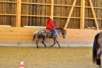 Galoppwechel_Kurs_1_2017