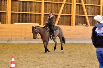 Galoppwechel_Kurs_1_2017