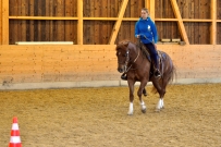 Galoppwechel_Kurs_1_2017