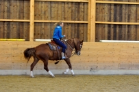 Galoppwechel_Kurs_1_2017