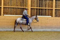 Galoppwechel_Kurs_1_2017