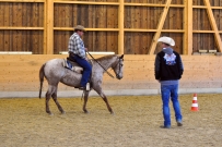 Galoppwechel_Kurs_1_2017