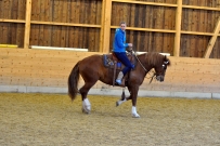 Galoppwechel_Kurs_1_2017