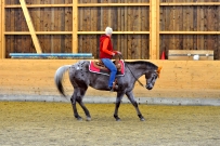 Galoppwechel_Kurs_1_2017