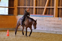Galoppwechel_Kurs_1_2017