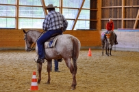 Galoppwechel_Kurs_1_2017