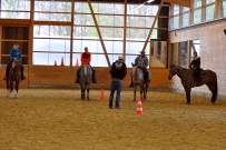 Galoppwechel_Kurs_1_2017