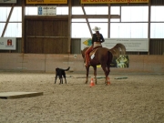Henau_2010