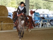 Henau_2010